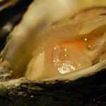 Ostra tibia escabechada. Warm and pickled oyster.